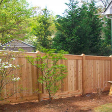 Privacy Fence