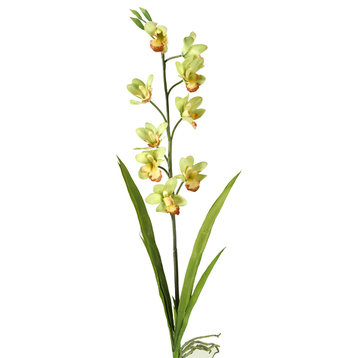 31" Cymbidium Orchid, Set of 3, Green