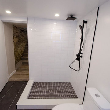 Leslieville Basement