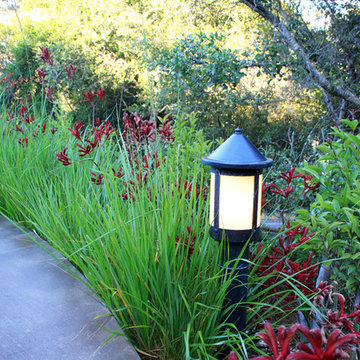 Mill Valley Hillside Garden