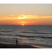Regina Davis's photo
