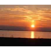 Dawn Siebert's photo