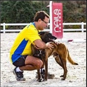Javier Jaen's photo