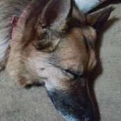 Kathryn Grubaugh's photo