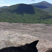 Melissa Vaughn's photo