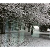 Lynn Cunningham's photo