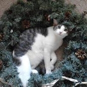 Joanna Robinson's photo