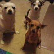 Foto von Kathy Rojas