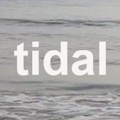 Tidal Architects Ltd