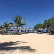 Foto von Ajit Kothari