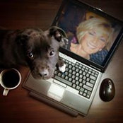 Vikki Andreo's photo