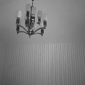 Nesrine El-Essawy's photo