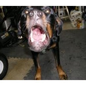 Jonathan Taylor's photo