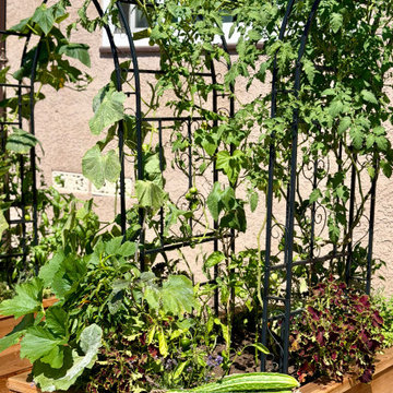 Coastal Kitchen Garden