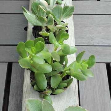 LeBrun Designs - Reclaimed Cypress Succulent Planters and Candle Holders