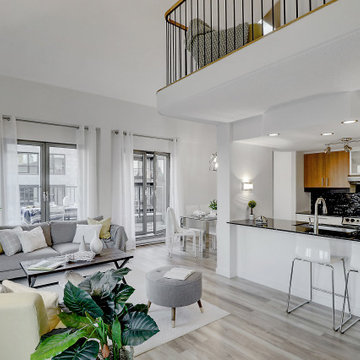 Old Montreal Penthouse