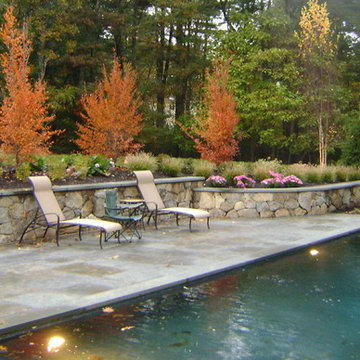 Rectangular pool w/ bluestone decking