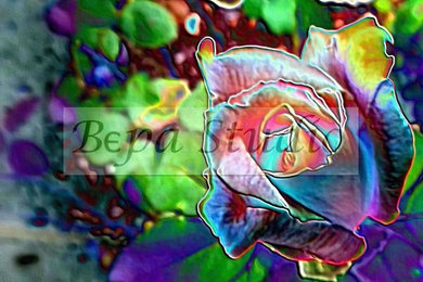 "Stained Glass Rose" - by Bepa Studio