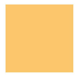 Benjamin Moore Sweet Orange - Paint