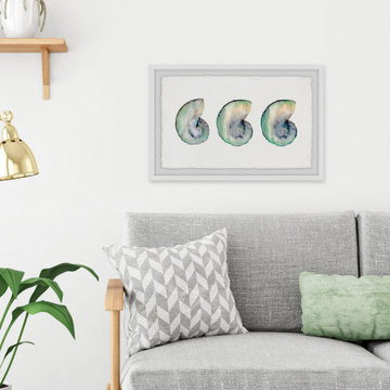 "Conch Shell Triplet" Framed Painting Print