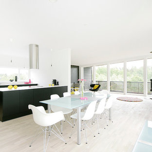 オールボーの中サイズの北欧風 LDKの画像 (白い壁、淡色無垢フローリング、標準型暖炉)