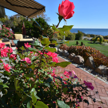 Oceanfront Residence