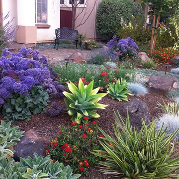 New Front Yard
