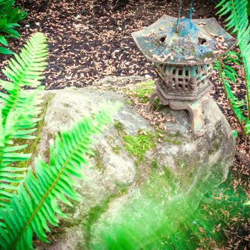 Holistic Modern in NE Portland, Oregon