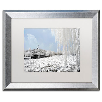 Philippe Hugonnard 'Lotus Lake' Art, Silver Frame, White Matte, 20"x16"