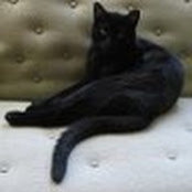 Sarah Denig's photo