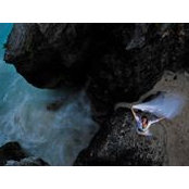 Stephanie Bedell's photo