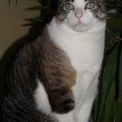 Dianne Bartol's photo