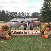 Amanda McQuillen's photo
