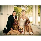 Jay Getman's photo