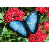 Nancy Riley Church's photo