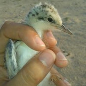 Danny Herc's photo