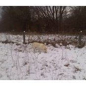 Larry Herdman's photo
