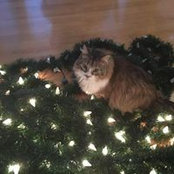 Jane Conley's photo