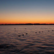 Dayton Carroll's photo