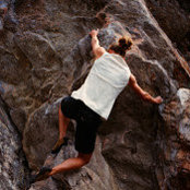 Jessica Harbeck's photo