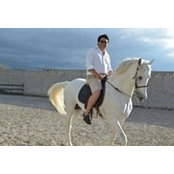 Luis Lima's photo