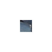 Sarah Johnson's photo