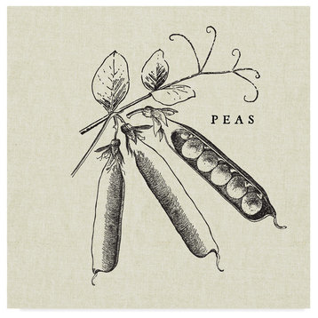 "Linen Vegetable BW Sketch Peas" by Studio Mousseau, Canvas Art, 35"x35"