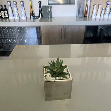 Modern Minimlist plantscape
