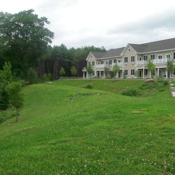 Commercial landscapes