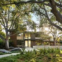 Dream House