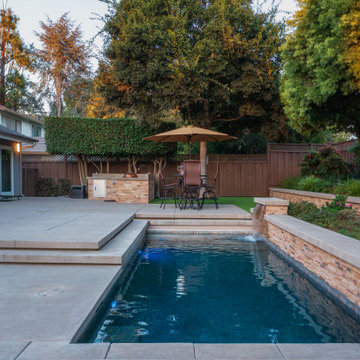 Canine Plunge Pool