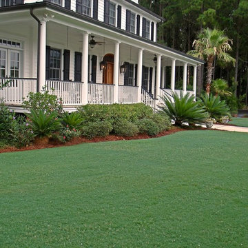 Celebration of Bermuda Grass