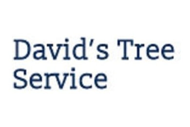 David's Tree Service