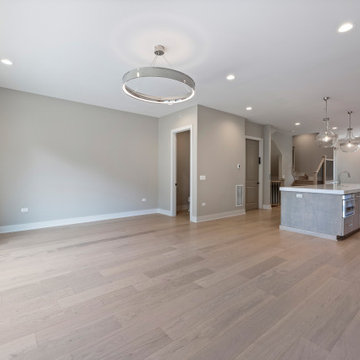 Interior Unit - Modern Luxury Transitional Heritage Place | Naperville, IL